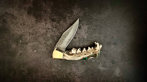 Coyote Jaw and Turquoise Folding Knife