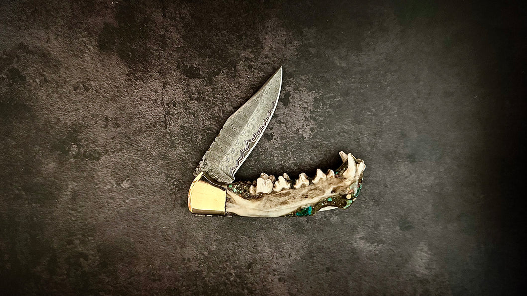 Coyote Jaw and Turquoise Folding Knife