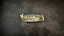 Load image into Gallery viewer, Coyote Jaw and Turquoise Folding Knife