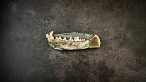Coyote Jaw and Turquoise Folding Knife