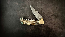 Load image into Gallery viewer, Coyote Jaw and Turquoise Folding Knife