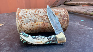 Raccoon and Turquoise Folder