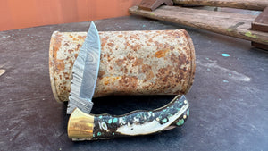 Raccoon and Turquoise Folder